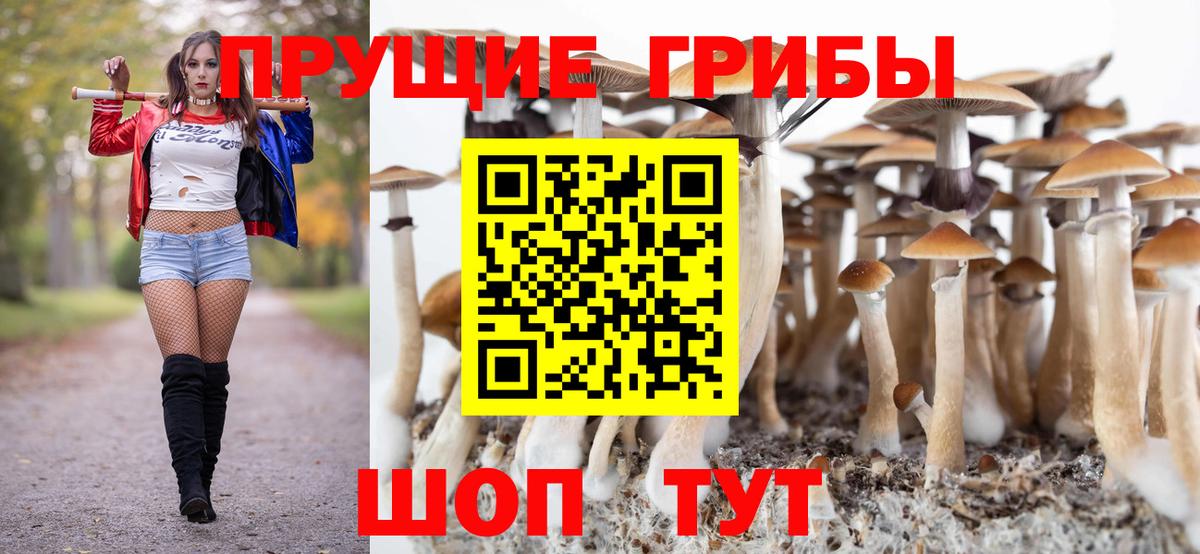 Псилоцибиновые грибы прущие грибы Нарткала