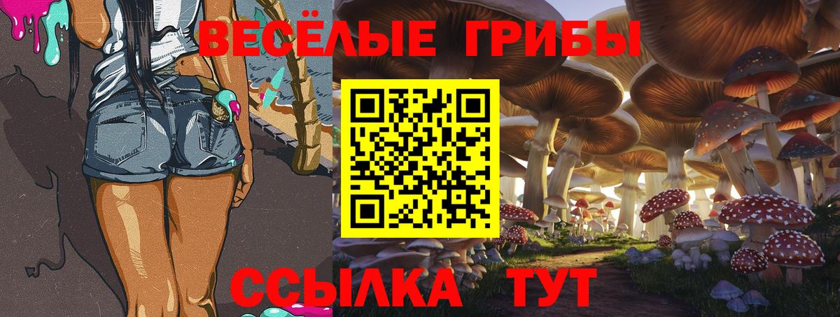 Нарткала  Псилоцибиновые грибы GOLDEN TEACHER  Вход с VPN 